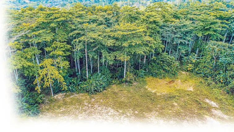 Adamus Debunks Illegal Mining Tag