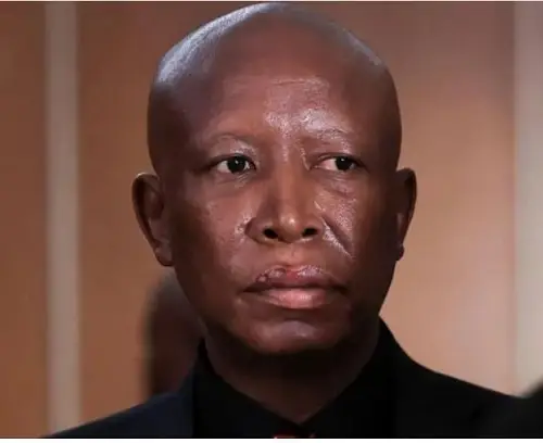 SA opposition figure Malema gets 5 years sentence