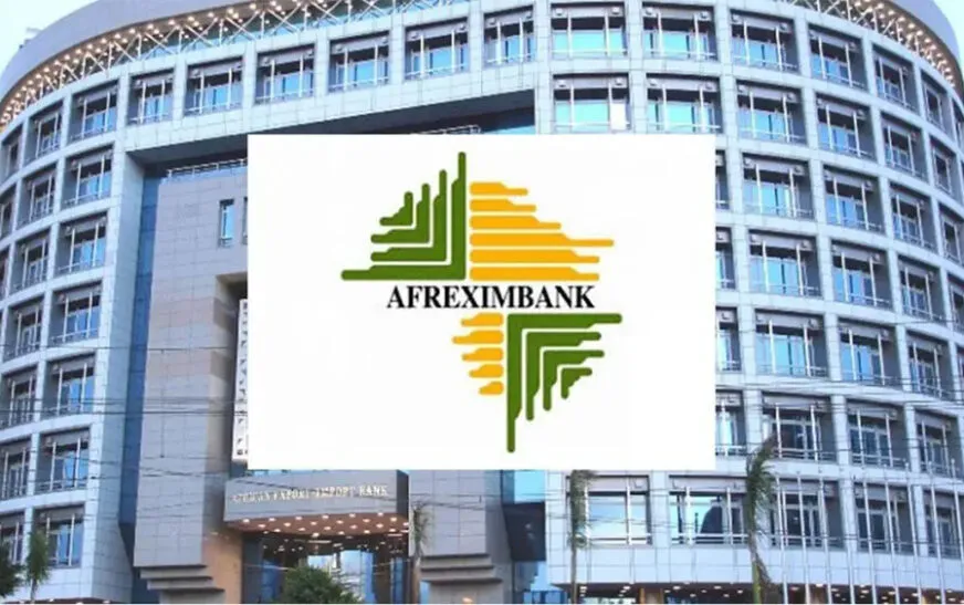 Afreximbank Backs New African Literary Voices With CANEX Anthology