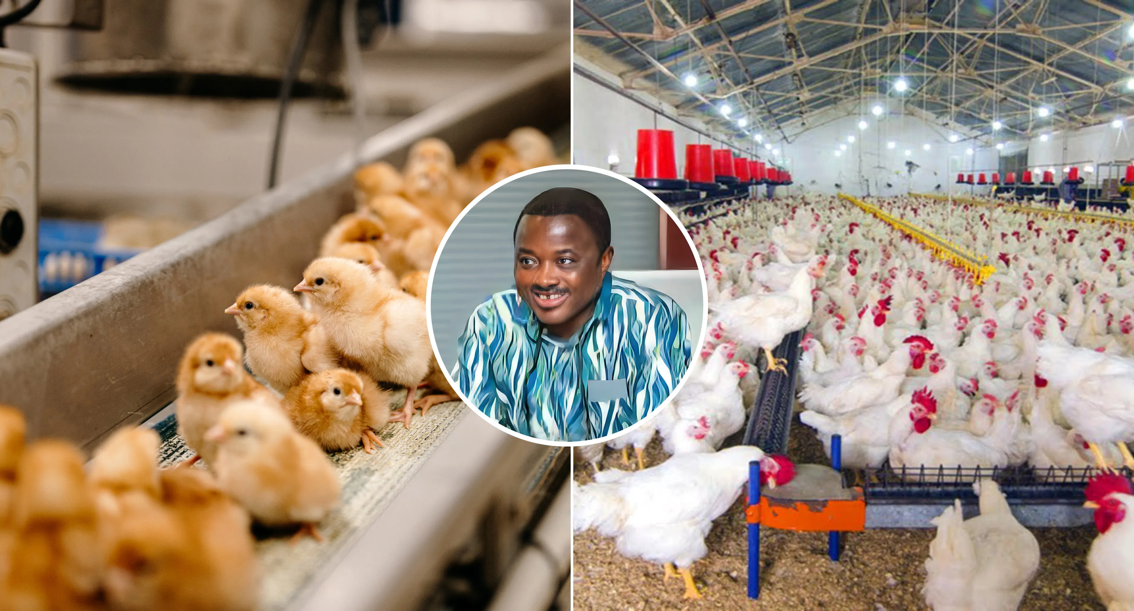 Gov’t Positions Poultry as Strategic Growth Sector But Can the New Master Plan Rescue a Struggling Industry?