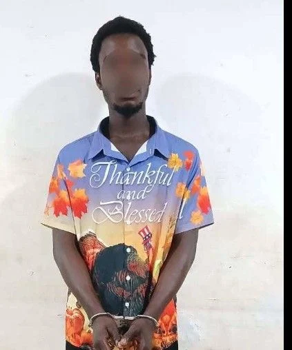 Police arrest suspect for causing fear and panic, making threatening remarks