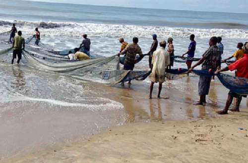 Ghana urged to develop new National Action Plan to combat illegal fishing
