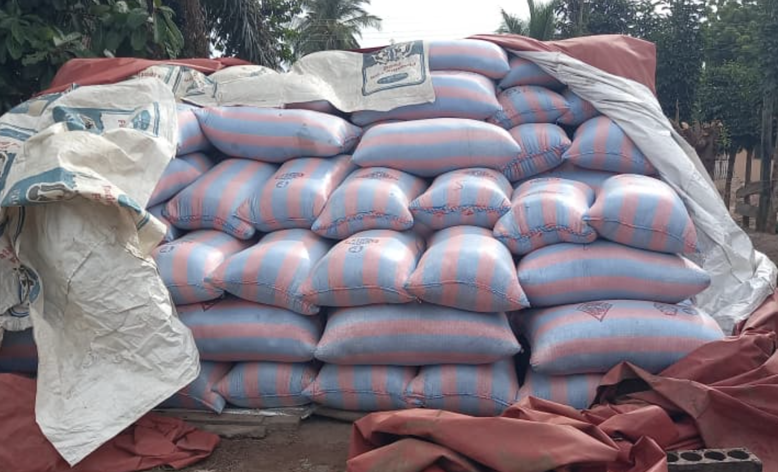 Afadzato&nbsp;South rice farmers appeal for urgent remedies to prevent post-harvest loss