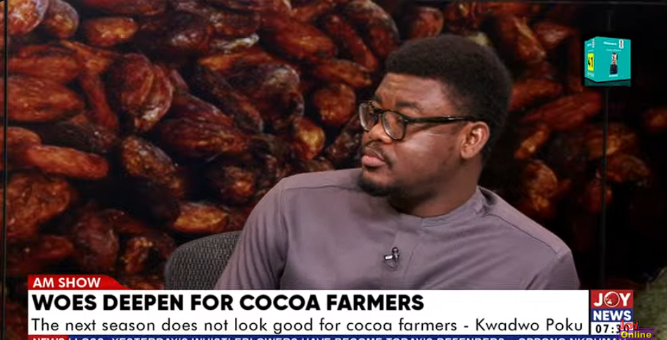 Gov’t assures fair returns for cocoa farmers despite expected global price drop