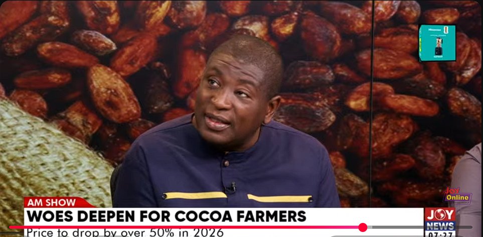 Cocoa farmers likely to earn less next season amid global price drop — Kwadwo Poku warns
